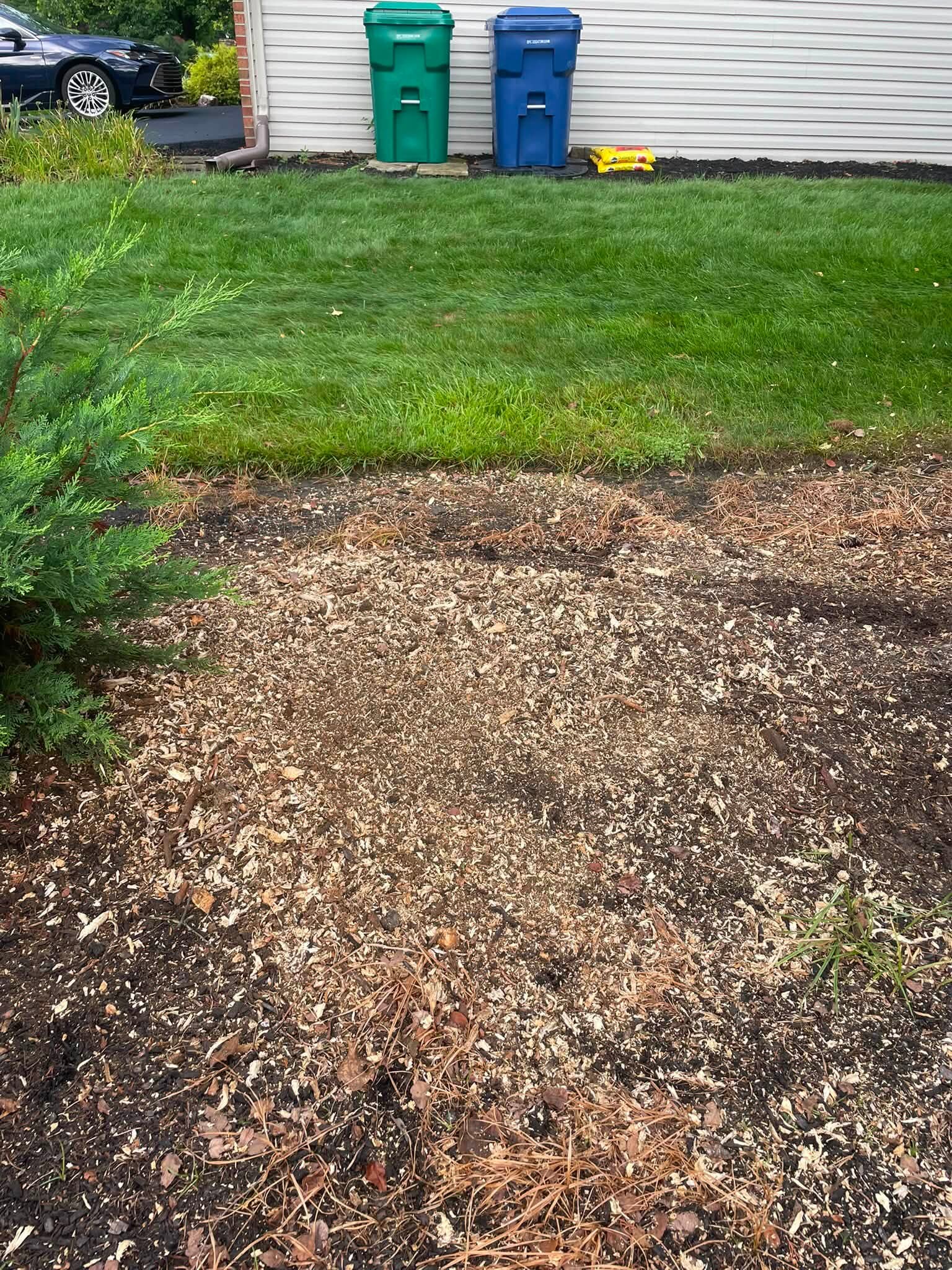 The finish along a lawn